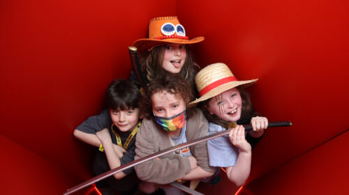 one piece luffy ace high angle photo booth